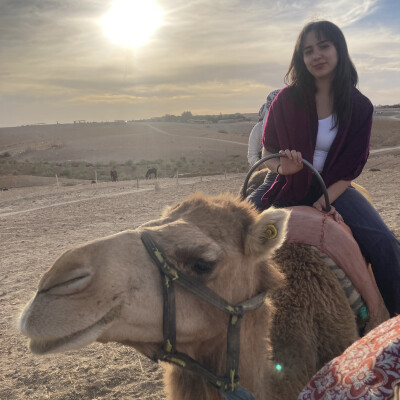 Iman zoekt een Kamer / Studio in Den Bosch